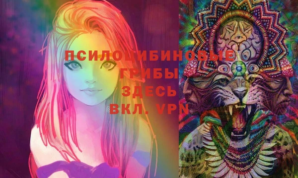 МДПВ Навашино