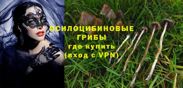 МДПВ Навашино