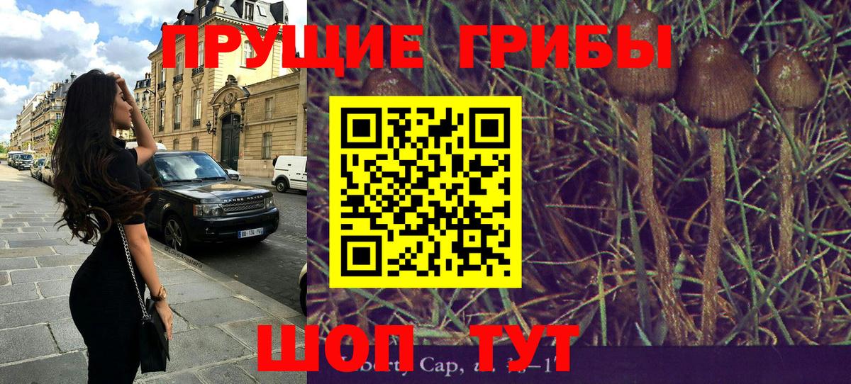 Псилоцибиновые грибы GOLDEN TEACHER Людиново