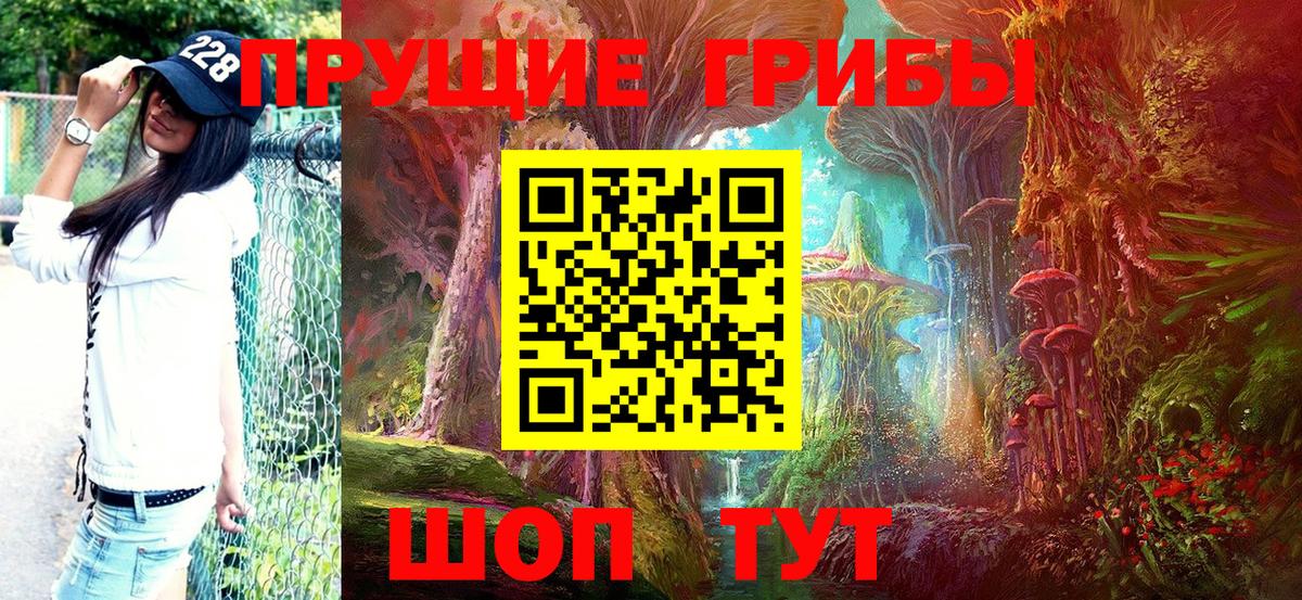 Псилоцибиновые грибы прущие грибы  Вход с VPN  Людиново 