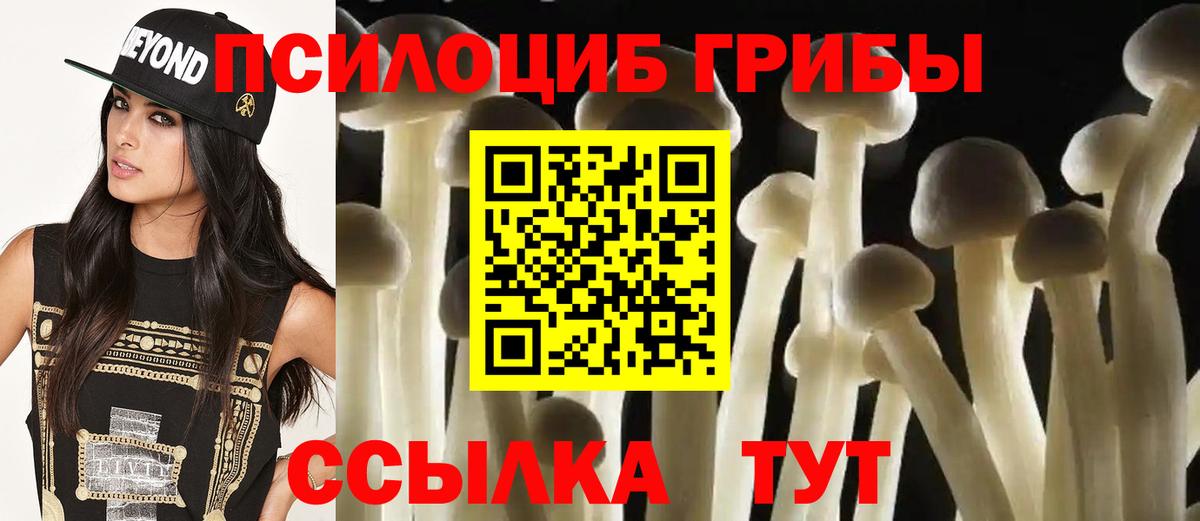 Псилоцибиновые грибы GOLDEN TEACHER  Псилоцибиновые грибы GOLDEN TEACHER  Людиново 