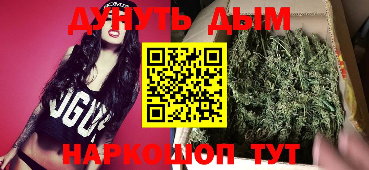 Бошки марихуана планчик  Конопля гибрид  Канабис сатива  Людиново  Марихуана AK-47 